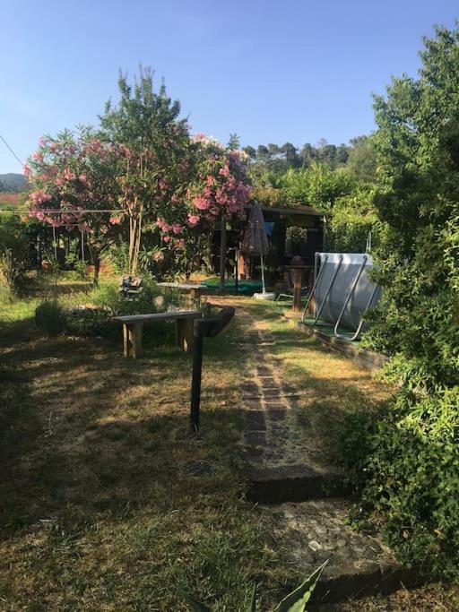 Le Rose , Relax In Casolare Del 1700 Apartment Sarzana Exterior photo