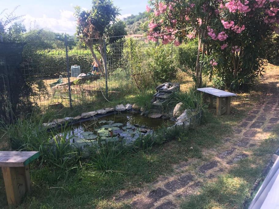 Le Rose , Relax In Casolare Del 1700 Apartment Sarzana Exterior photo
